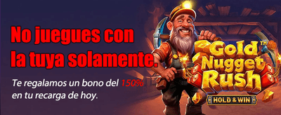 Experience the Casino Thrill