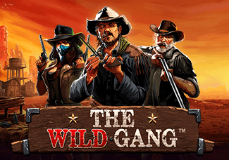 The Wild Gang game thumbnail